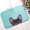 Funny Boston Terrier Dog Doormat Indoor Anti-Slip Suede Carpet Entrance Rug for Living Room Bedroom Kitchen Bathroom Door Mats