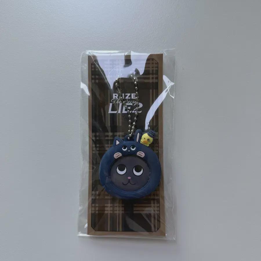  Riize Japan Fanmeeting Wonbin Tonyangduk Can Badge Keyring