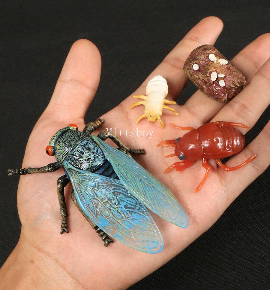 Montessori Wooden Lifelike Insect Animal Life Cycle Board Teaching Plant Animals Growth Cycle Model Set Preschool Cognitive Toy