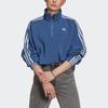 adidas Originals Fleece Hz Sweatshirts Women's Blue Stand Collar Moderate Regular H38867