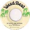 7inch Record SOUL DEFENDERS  Sit Down And Wonder WB014 Weed Beat 1976 Jamaica Reggae Ska  Dub Used