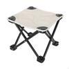 Camp Stool Foldable Camping Footrest for Adults Footstool Small Chair Collapsible
