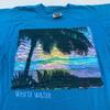 Vintage 90s WHITE WATER BEACH SUN VIEW T-Shirt S Nature Sunset
