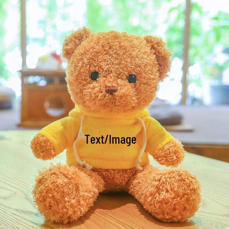 Teddy Bear Sweater Hug Plush Doll for Girls - Valentine's Day or Birthday Gift