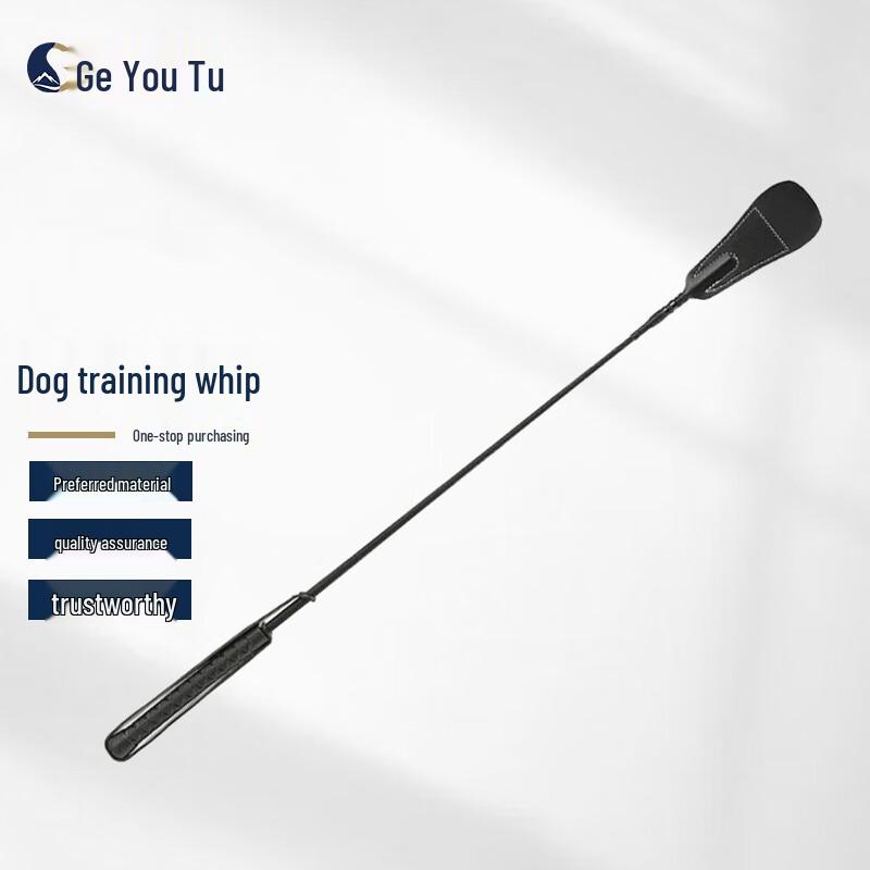 Modular Dog Agility Training Obstacles