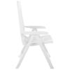 vidaXL 2 Pieces Adjustable Folding Chairs Made of Plastic, White