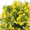 Artificial Aquarium Grass   Colorfast Fish   Plastic Grass   for Aquarium Fish   Landscaping
