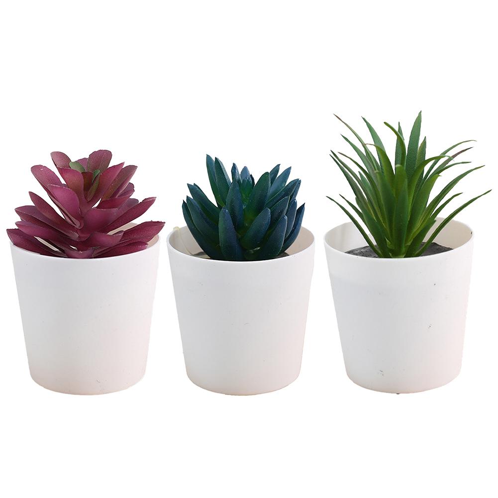 

3 шт. Искусственные суккулентные бонсай растения Очаровательный настольный набор имитации суккулентных растений Домашний стол Офис Свадебный декор стола