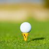 Golf-Tees Halter Grünes Markierungswerkzeug Golf Putting Greens Tees Schild Golf Übungs-Tees Basis Golf Trainingszubehör