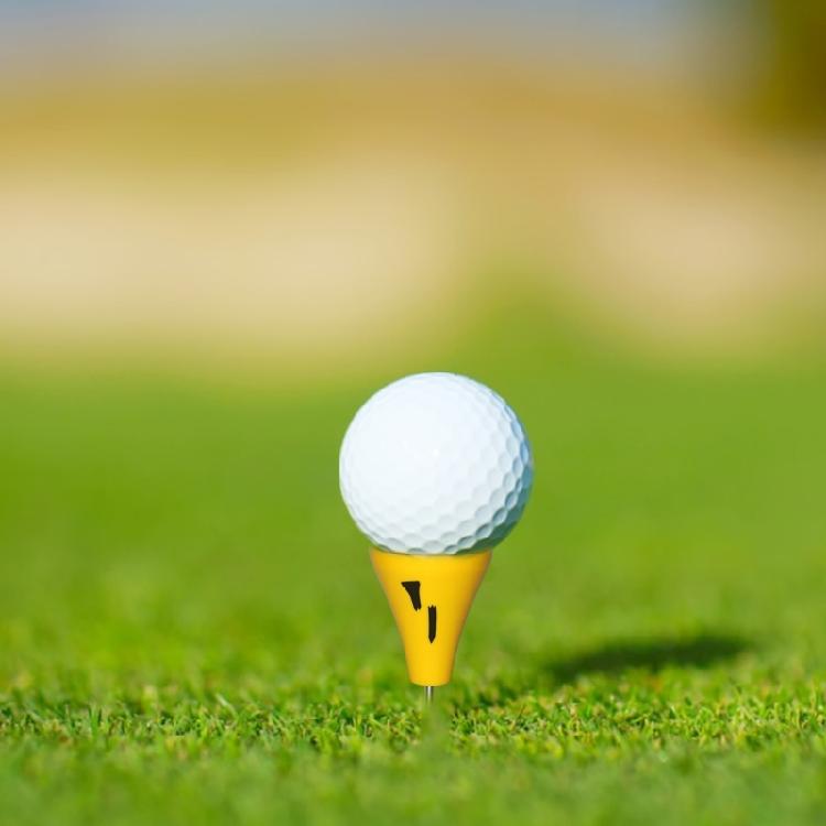 Golf-Tees Halter Grünes Markierungswerkzeug Golf Putting Greens Tees Schild Golf Übungs-Tees Basis Golf Trainingszubehör