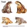 1Pcs Hand Painted Amphibious Animal Figurine Educational Realistic Toad Frog Figure Rubber Animal Model Toy For Kids