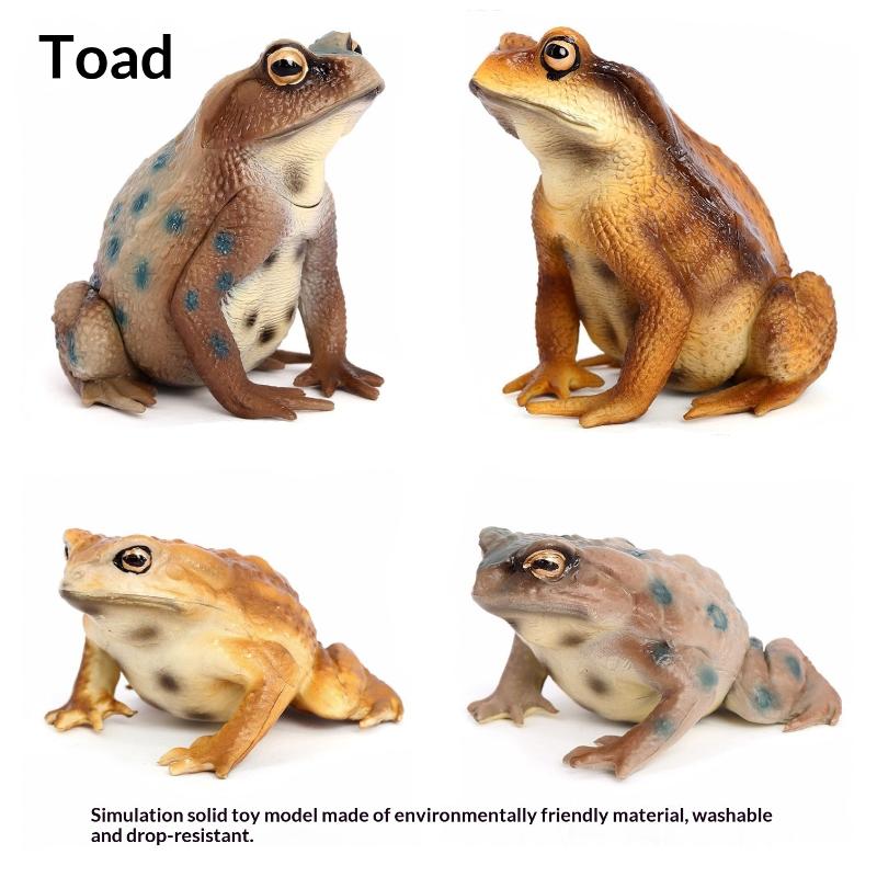 1Pcs Hand Painted Amphibious Animal Figurine Educational Realistic Toad Frog Figure Rubber Animal Model Toy For Kids