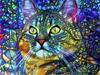 5d Diamond Painting Pes DIY Mozaika Zvíře Plný Kulatý Čtverec Diamantové vyšívání Křížkový steh Kamínky Obrázky Nástěnné umění