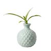 Flower Vase Nordic Decoration Ceramic Vases Home Desk Decor Flower Pot Flower Basket Simple Modern for Small Flowers