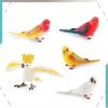 Parrot Figurine Pvc Educational Toy For Children Classroom And Home Use
