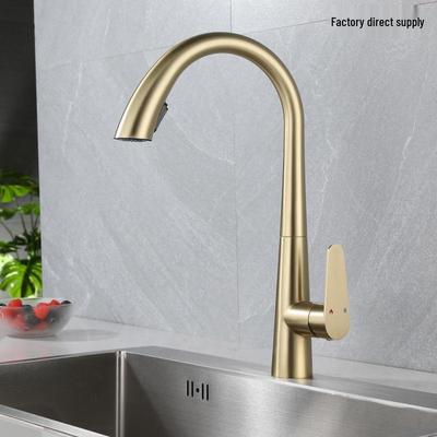 All-Copper Dual-Temperature Pull-Out Kitchen Faucet with Telescopic Vegetable Spray