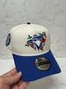 [USED] Toronto Blue Jays 30th Anniversary Rose Embroidered Snapback