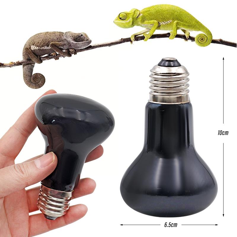 Heizlampe für Haustiere Reptil Schlange Wärme Nachtlicht Amphibie Schlangenlampe Wärme Reptilienbirne UV-Licht AC220-240V