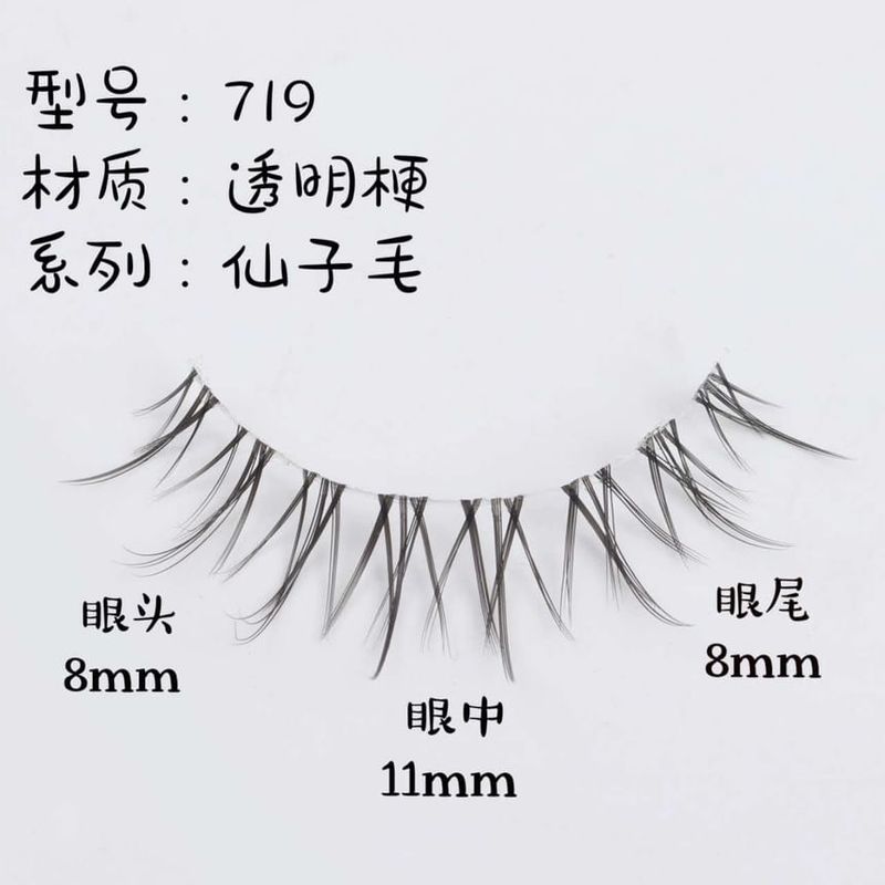 Choyu - Natural Multipack False Eyelashes
