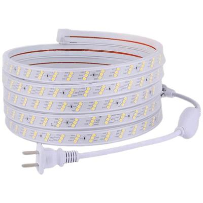 Biuyum 220V LED Outdoor Waterproof Light Strips & Accessories