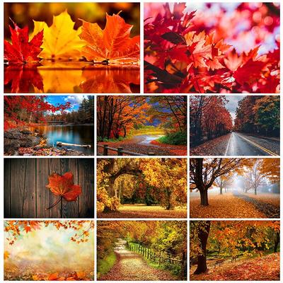 Herbstlaub Thema Hintergrundtuch, Mehrzweck-Dekor für, Fotostudio-Hintergrund, für Zimmer, Garten, Terrasse, Heimdekor