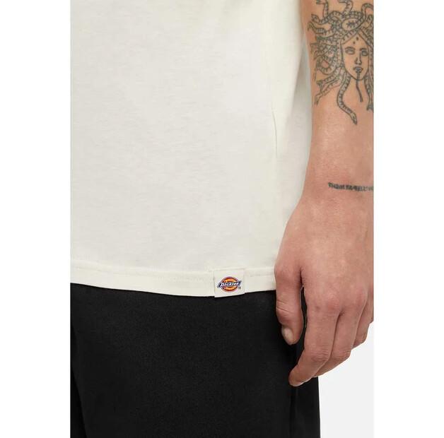Dickies Enterprise Short Sleeve T-Shirt