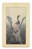 Nichiyu Tarot Waite Fortune Telling Direct Import from the Koson Tarot Arcana Includes Japanese Instruction Manual and Flower and Bird 22-Card Cards,