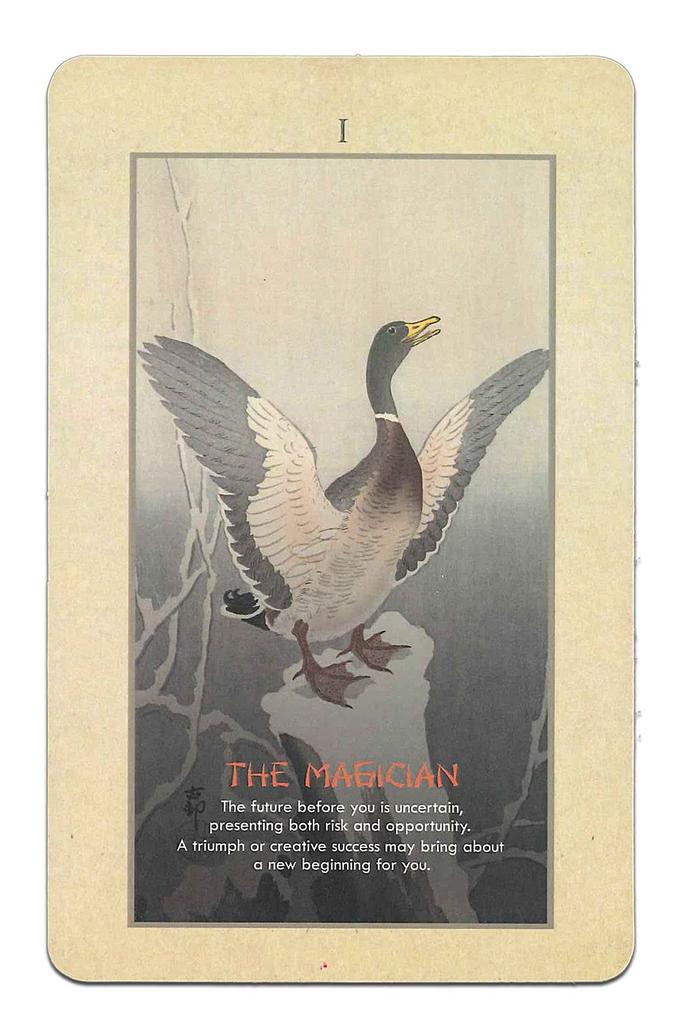 Nichiyu Tarot Waite Fortune Telling Direct Import from the Koson Tarot Arcana Includes Japanese Instruction Manual and Flower and Bird 22-Card Cards,