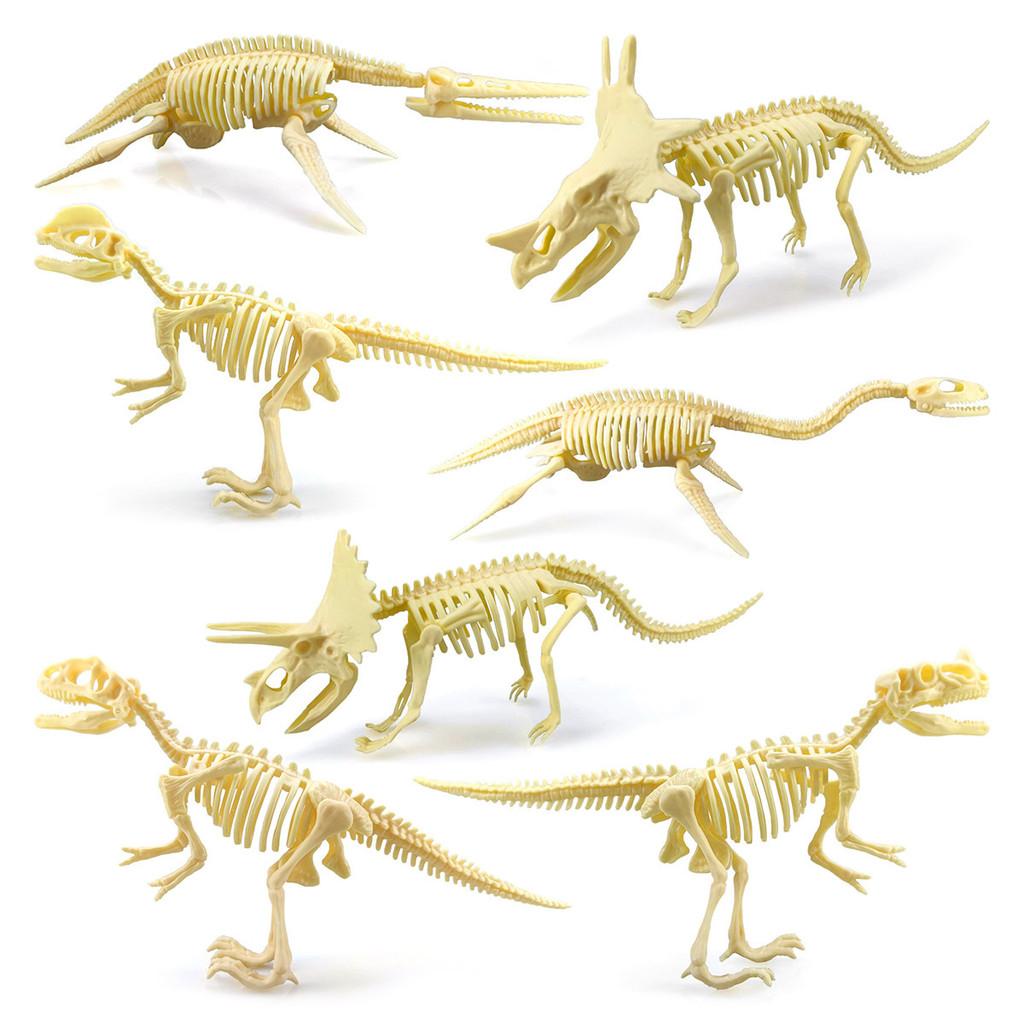 Fossil Dinosaur Skeleton Model With Plastic Material For Kids Educational Decor