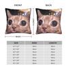 Katzen-Memes Lustiger Meme-Druck Kissenbezug Weicher Kissenbezug für Sofa Auto Heimdekoration Modischer Kissenbezug