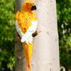 Tree Stump Parrot Ornament, Waterproof Resin Parrot Statue with Realistic Feather Texture, Outdoor Wall Mount Macaw Bird Ornament for Garden Tree
