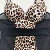 Women Leopard One Piece Swimsuit Mesh Stitching Bikini with Underwire Sexy Beachwear