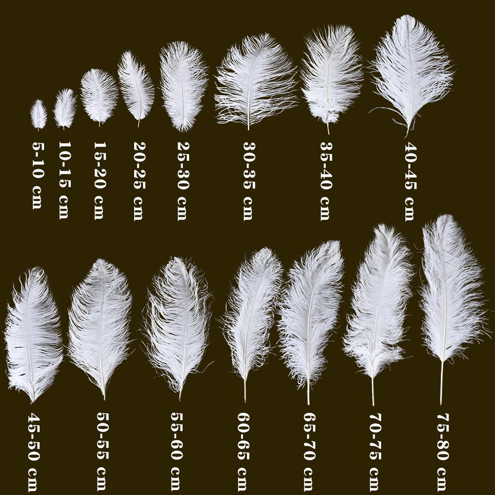 10Pcs Green Ostrich Feathers for Crafts 15-35cm Handicraft Accessories DIY Plume Starry Wedding Mask Handmade Centerpieces Decor