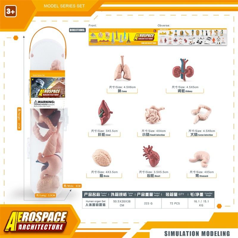 

Симуляция Аэрокосмическая Архитектура Серия Древний Египет Космический Мир Строительство Набор Человеческих Органов Статическая Модель Украшение