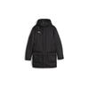 Winter Jacket 658569