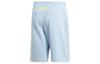adidas Originals Casual Shorts Men's Blue Moderate DV1942