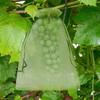 10/200x Green Fruit Protection Drawstring Bags Plant Vegetable Grow Netting Bag Insect-proof Anti-Bird Organza Mesh Pouch Covers