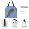 Cartoon Niedlicher Schnabeltier-Druck Isolierte Lunchtasche für Damen Kinder Auslaufsichere Lebensmittelboxen Thermische Lunchbox Tragetasche