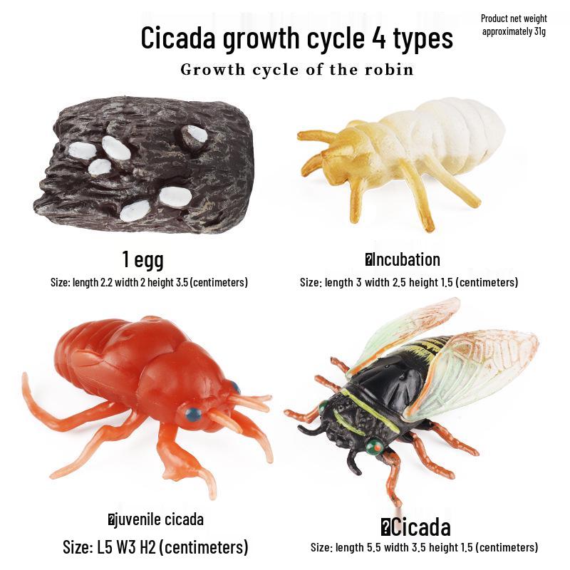 Cross-border Simulation Animal Suction Toy: Butterfly, Rooster, Ant, Frog, Sea Turtle, Mosquito Growth Cycle Models