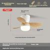 24 Inches Six-speed Electric Ceiling Fan Light Nordic Dining Room Ceiling Fan Light Lamp Frequency Conversion Chandelier Fan