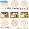Baby Montessori Science Education Animals Insects Life Cycle Board Sets Lifestyles Stages Kids Tools Educational Open-ended Toys
