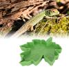 Maple Leaf Shape Reptile Water Feeder Plastic Pet Feeding Bowl Drinking Tray for Geckos Lizards Spiders Turtles