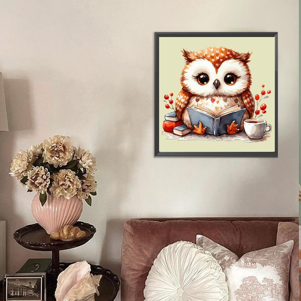 1pc DIY Paint by Number Kit Owl Frameless Canvas Wall Art Gift Idea 20x20cm