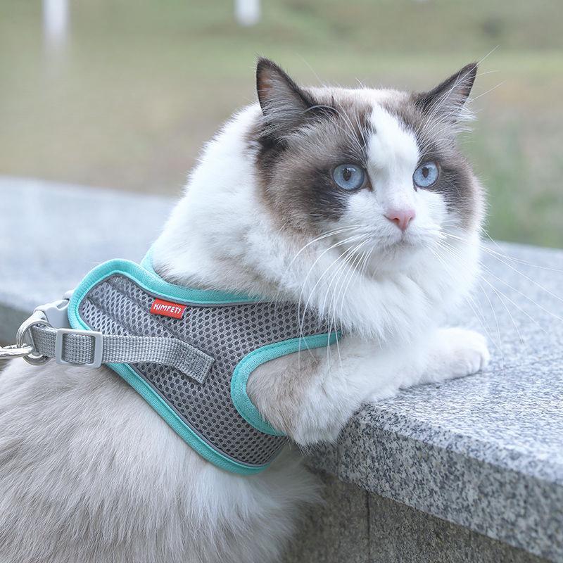 Regulowana smycz dla kota, Smycz dla kota, Smycz dla kota, Specjalna smycz dla kota zapobiegająca ucieczce podczas wychodzenia