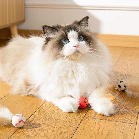 Katze Hüpfball Spielzeug Basketball Fußball Baseball Katze Sprungspielzeug Gummiball Kauspielzeug mit Federn für Interaktives Spielen Selbstunterhaltung Langeweile