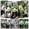 Fubao Panda Phone Case For Xiaomi 14 13T 12T Pro 12 13 11 Ultra Mi Note 10 Lite 10T 5G 11X Pro 11T 11i 9T Soft Silicone Cover
