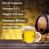 Verre a biere, Chope de bière lot de 6, Tübinger avec écusson - 0,3 litre