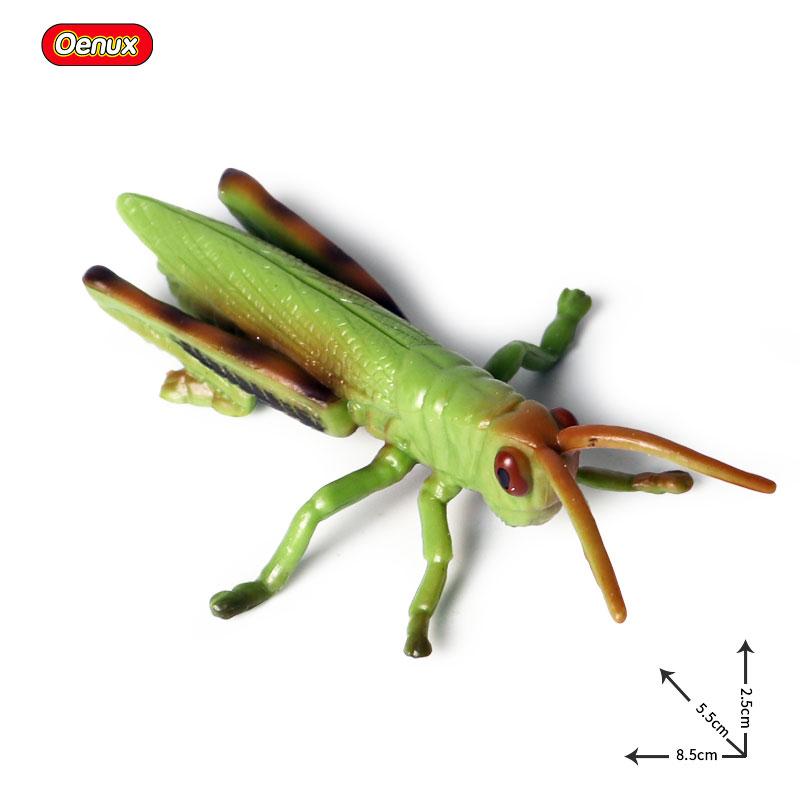 Oenux Wild Insect Animals Model Mantis Grasshopper Butterfly Bee Beetle Action Figures PVC Science Education Collection Kid Toy