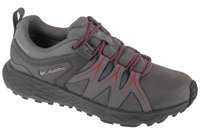 Peakfreak Roam WP, Mens Grey Trekking Shoes