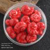 Colorful Ceramic Conch Shell Beads: Loose Snail Beads for Handmade DIY Jewelry and Accessories